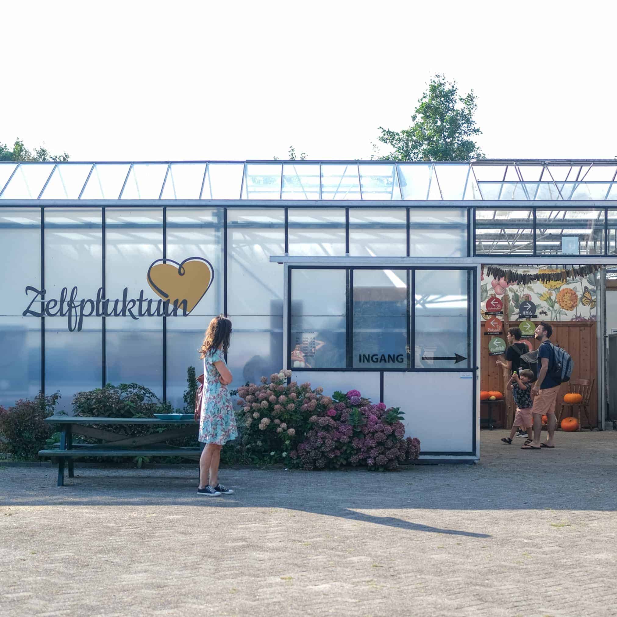 zelfpluktuin texel met kinderen