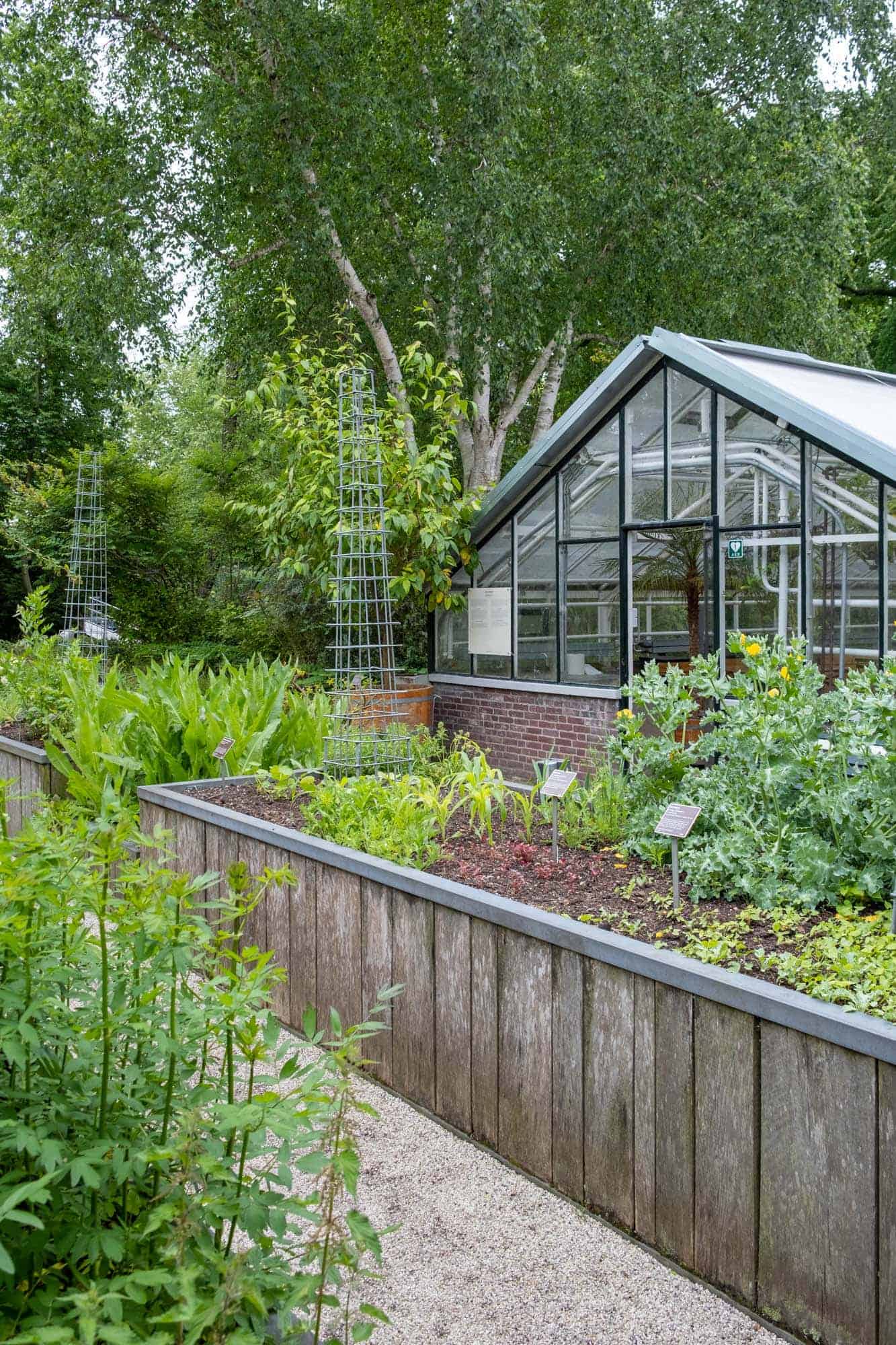 kaslokaal Hortus Botanicus Amsterdam