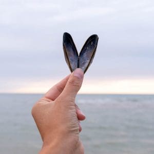 tips voor unieke vakantiefoto's