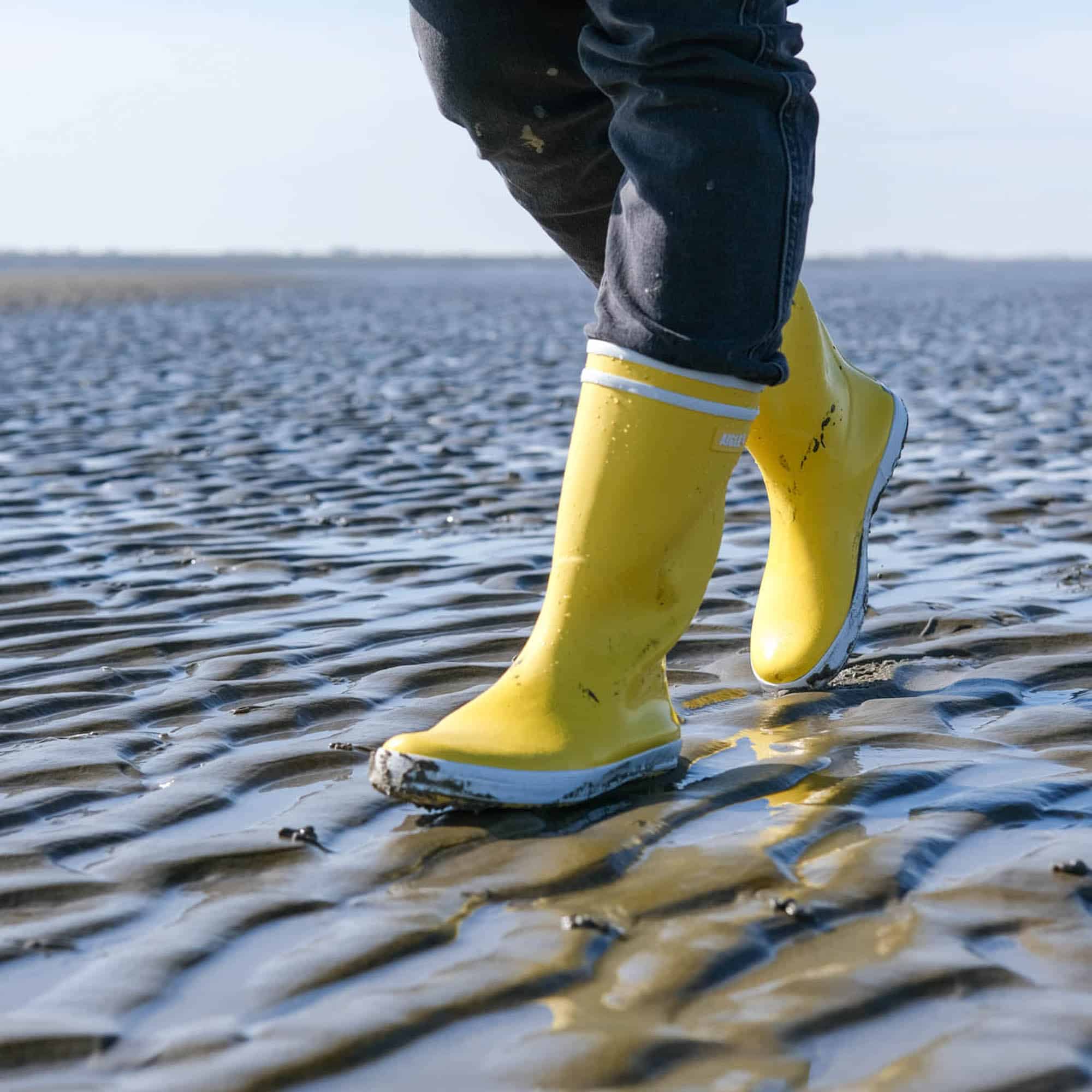 natuuractiviteiten waddenkust met kinderen