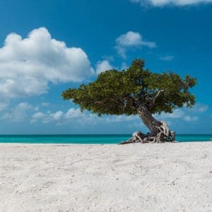 groene activiteiten op Aruba