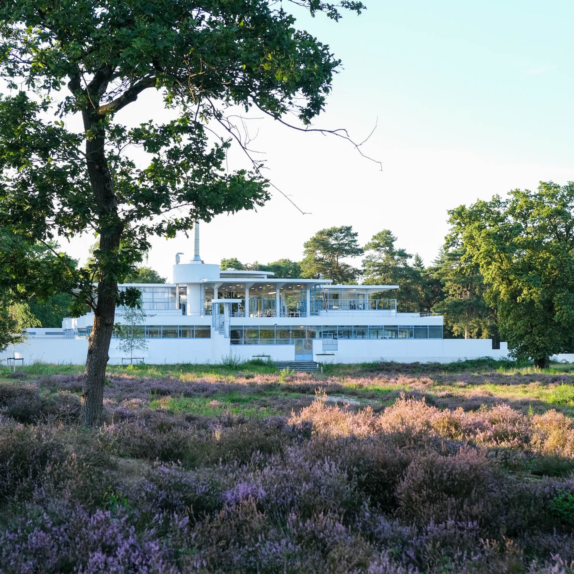 wandelen op de Hoorneboegse Heide