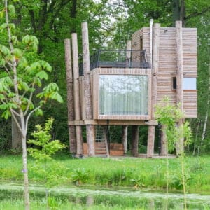 Your Nature Tree Loft