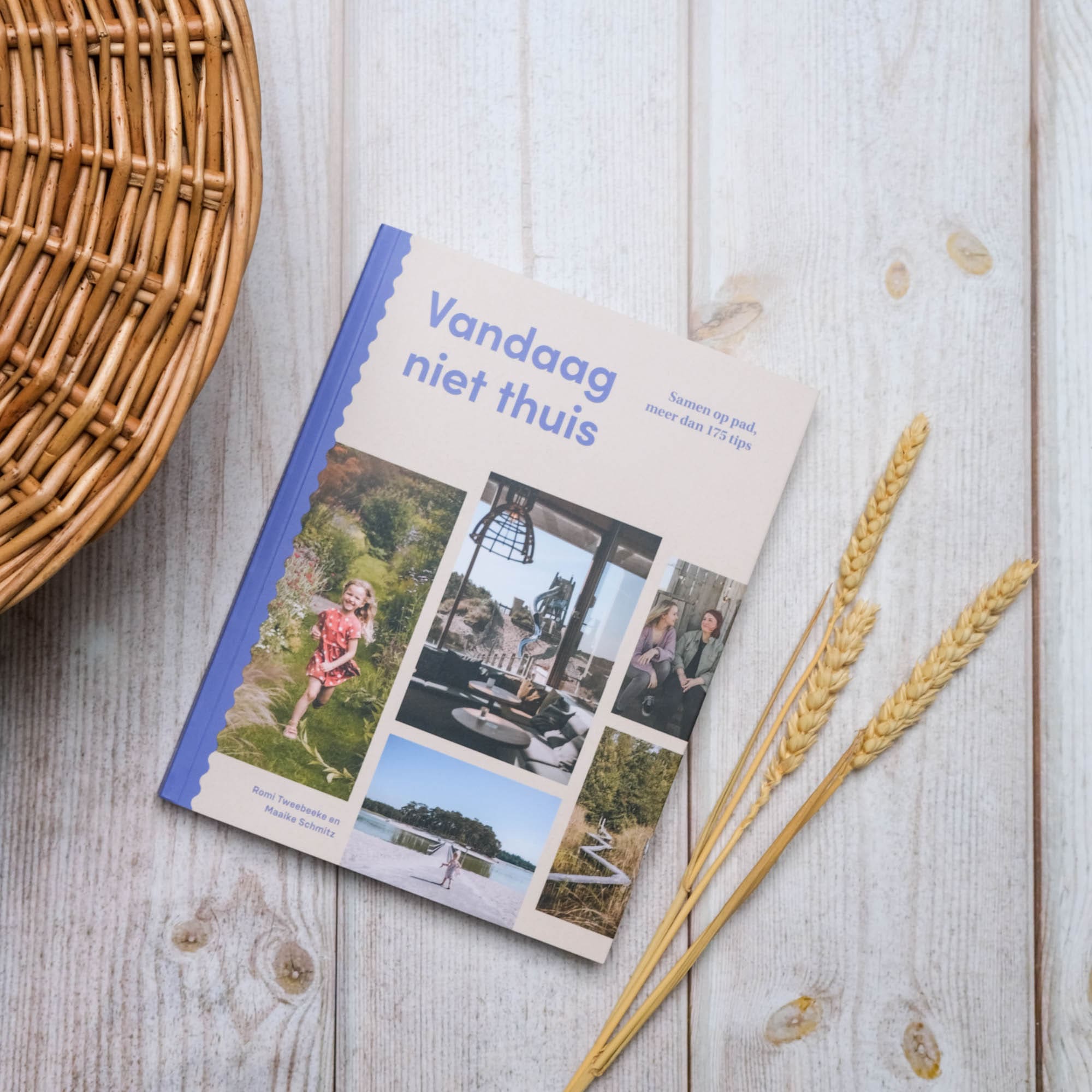 Vandaag niet thuis boek