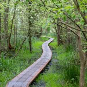 Laarzenpad Naardermeer voorjaar