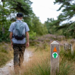korte heidewandeling Bergen