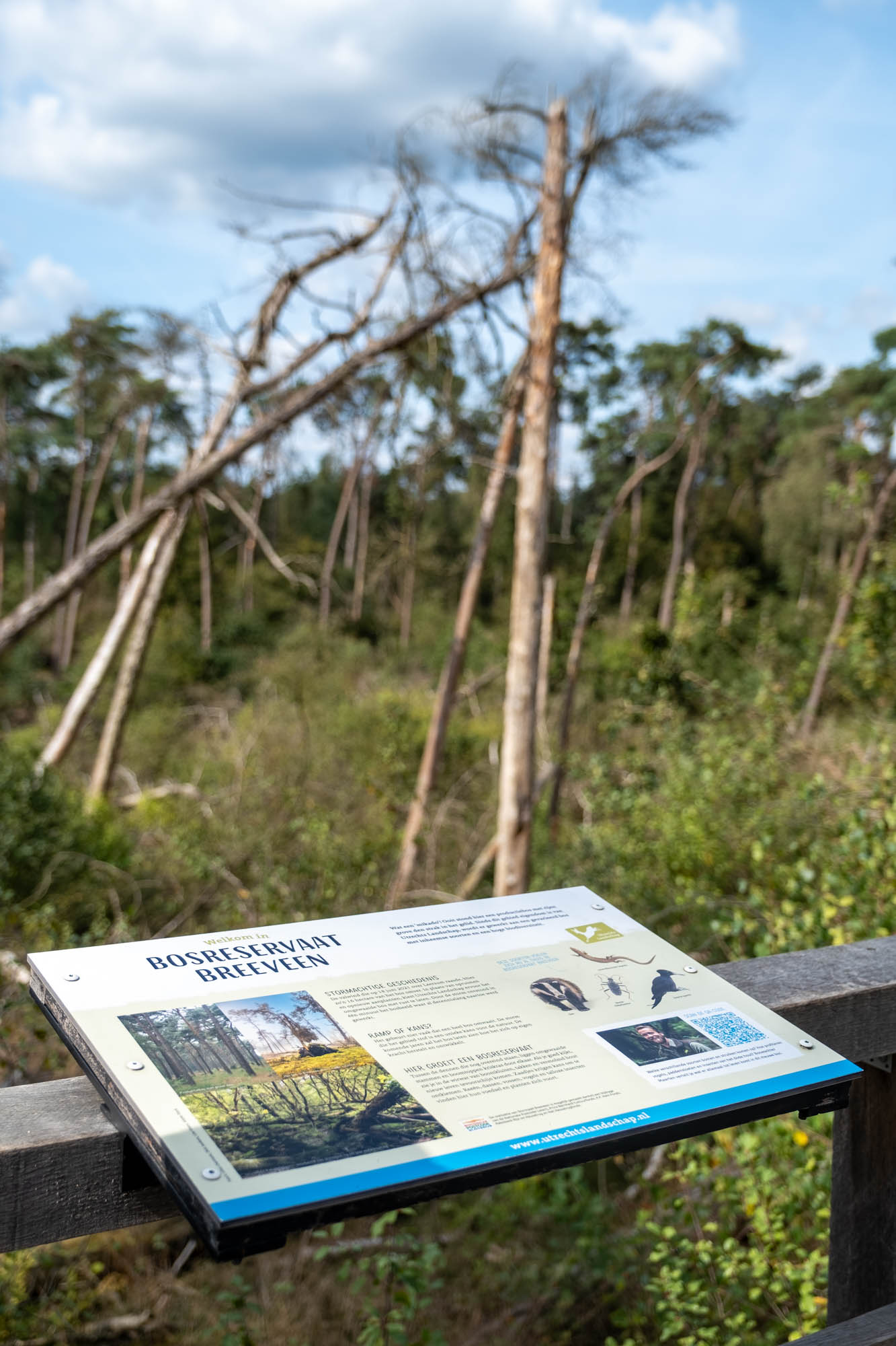 Bosreservaat Breeveen wandelroute
