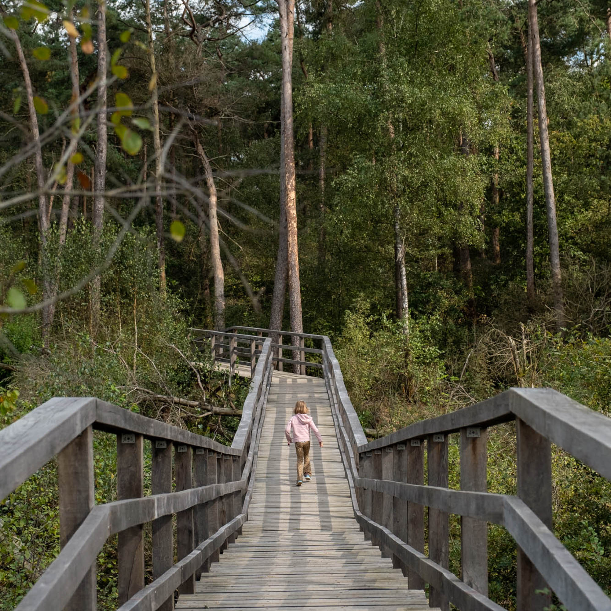 bijzondere wandelingen langs rampgebieden