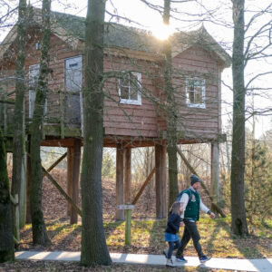 Efteling boomhut Loonsche Land