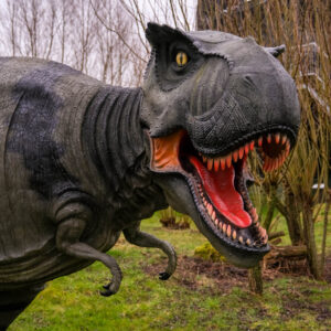 dino uitjes in Nederland