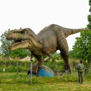 Dino Experience Gouda ervaring