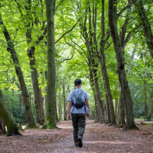 vertragen in de natuur
