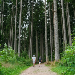 vakantie Zwarte Woud met kinderen