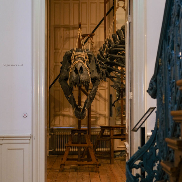 Art Zoo Museum Amsterdam bezoeken