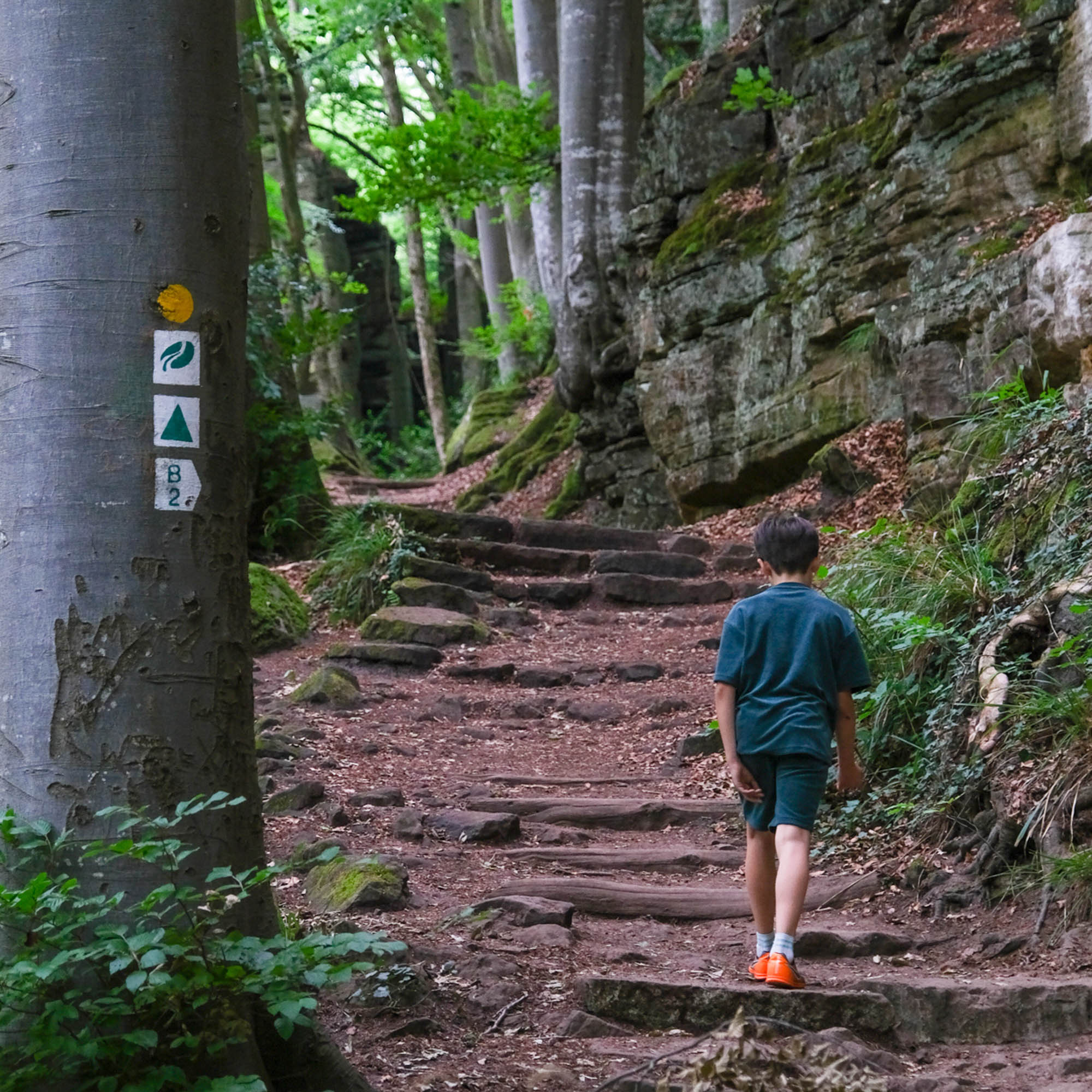 Müllerthal Trail B2 kinderen