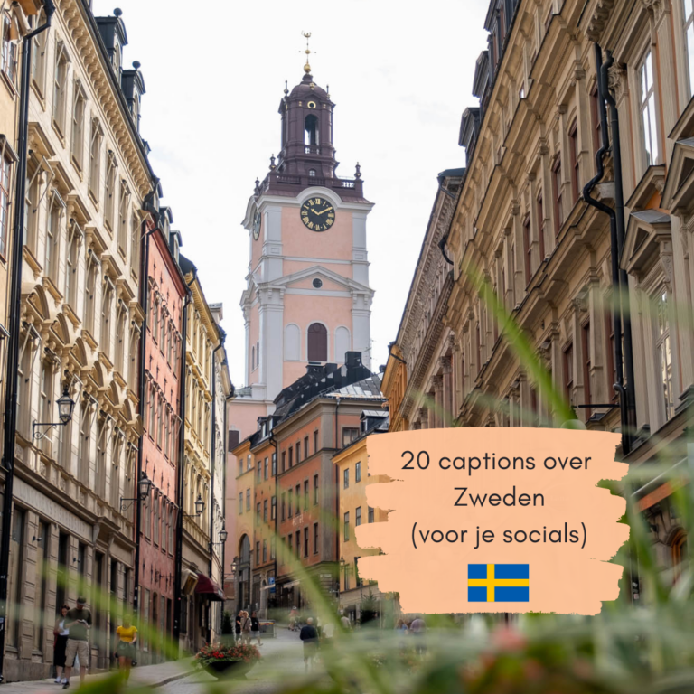 Zweden quotes